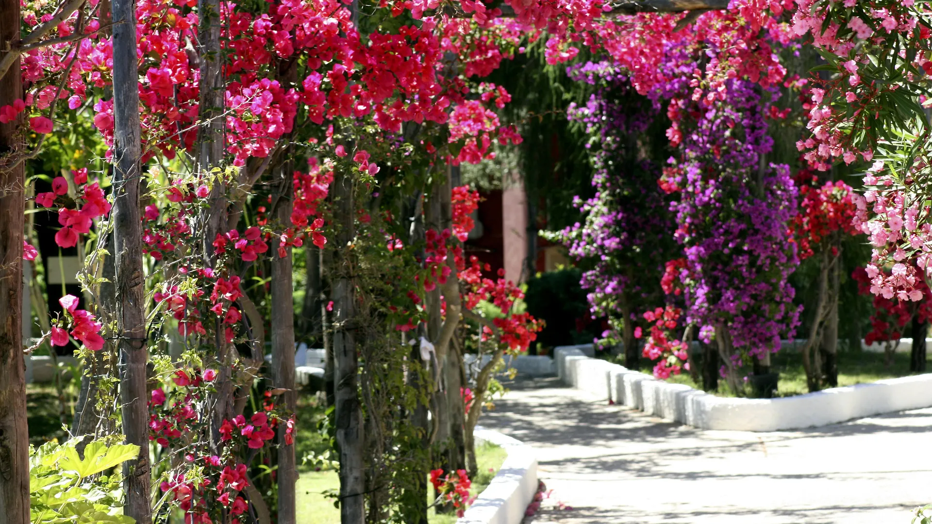 Th Costa Rei - Free Beach Resort